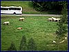110609_HDO2011f_019.jpg