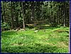 110609_HDO2011f_026.jpg