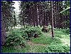 110609_HDO2011f_027.jpg