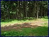 110609_HDO2011f_028.jpg