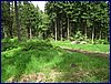 110609_HDO2011f_029.jpg