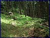 110609_HDO2011f_030.jpg
