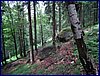 110609_HDO2011f_032.jpg