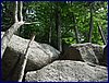 110609_HDO2011f_036.jpg