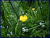 110609_HDO2011f_046.jpg