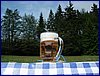 110609_HDO2011f_050.jpg