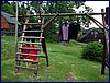 110609_HDO2011f_055.jpg