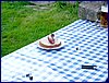 110609_HDO2011f_057.jpg