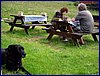 110610_HDO2011g_001.jpg