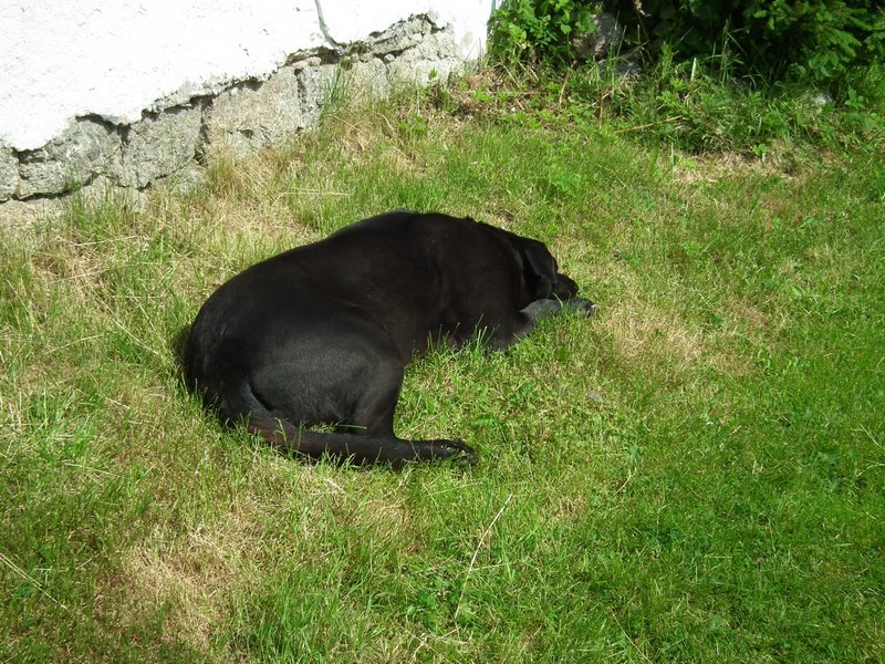 110611_HDO2011h_003.jpg