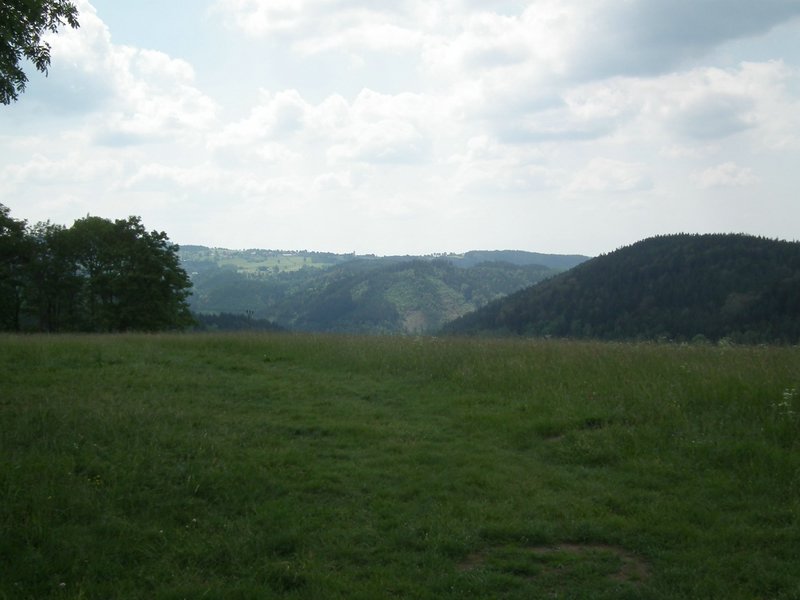 110611_HDO2011h_007.jpg