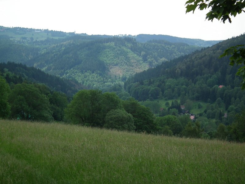 110611_HDO2011h_011.jpg