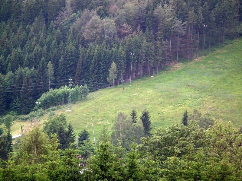 110611_HDO2011h_012.jpg
