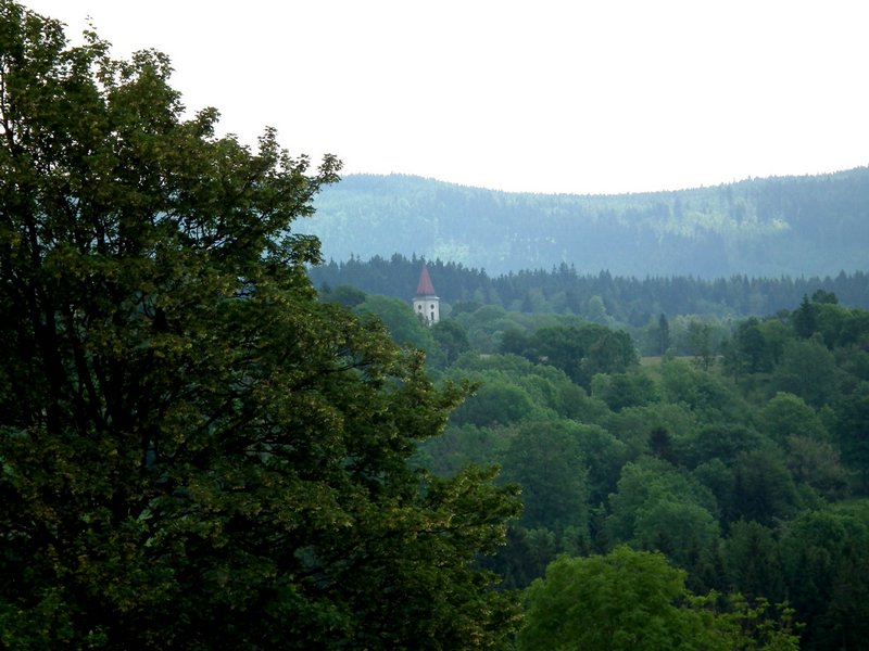 110611_HDO2011h_013.jpg