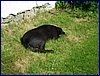 110611_HDO2011h_003.jpg