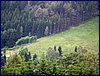 110611_HDO2011h_012.jpg