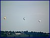 110611_HDO2011h_021.jpg