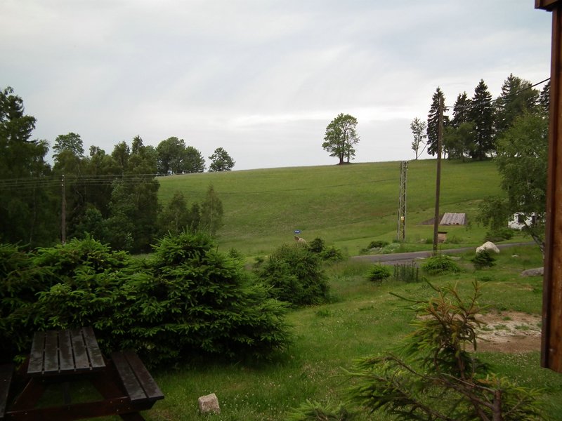 110612_HDO2011i_00012.jpg