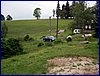 110612_HDO2011i_010.jpg