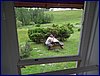 120604b_foto_007.jpg