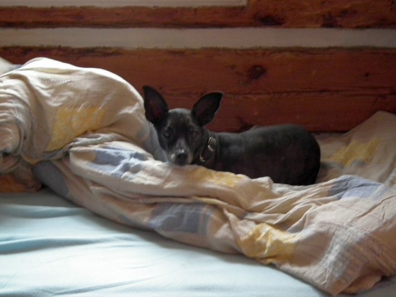120606b_foto_007.jpg