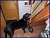 120606b_foto_002.jpg
