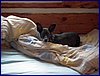 120606b_foto_007.jpg
