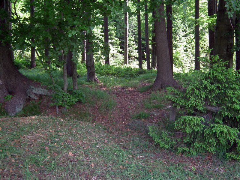 120608b_foto_003.jpg