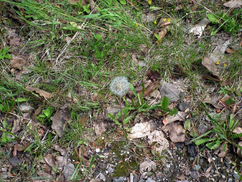 120608b_foto_006.jpg