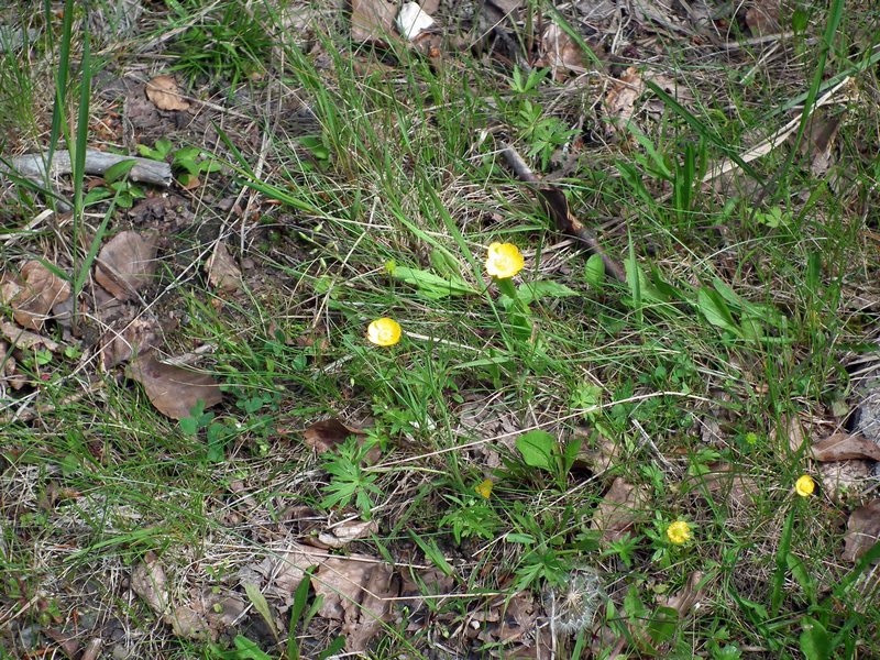 120608b_foto_007.jpg