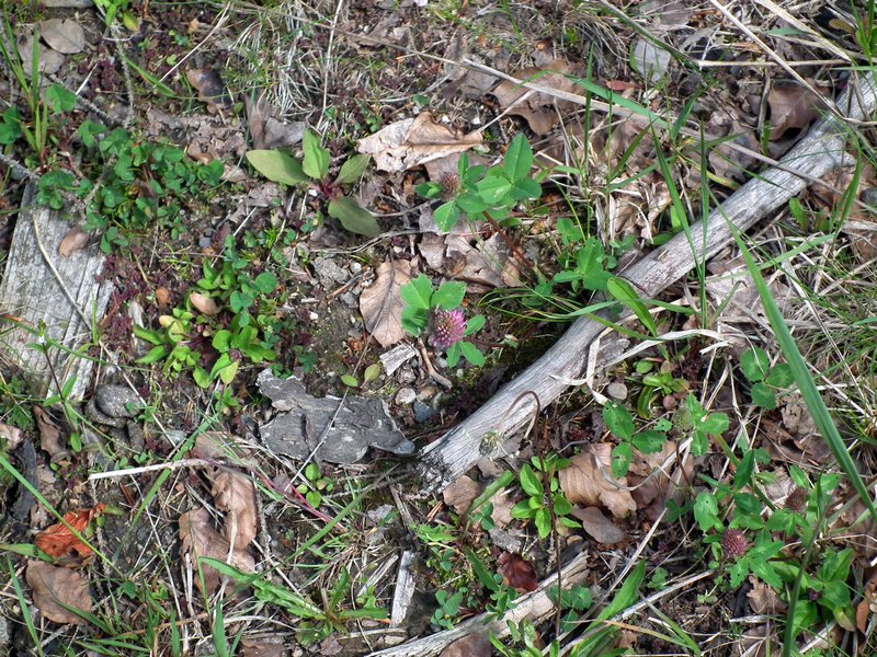 120608b_foto_008.jpg
