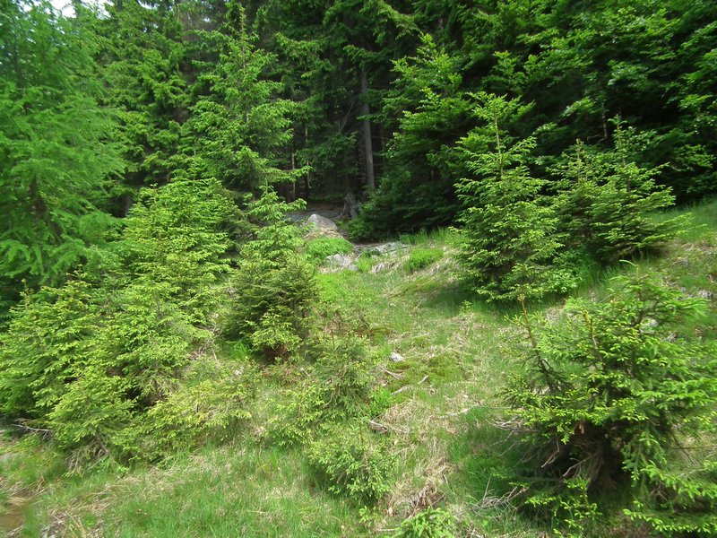 120608b_foto_009.jpg