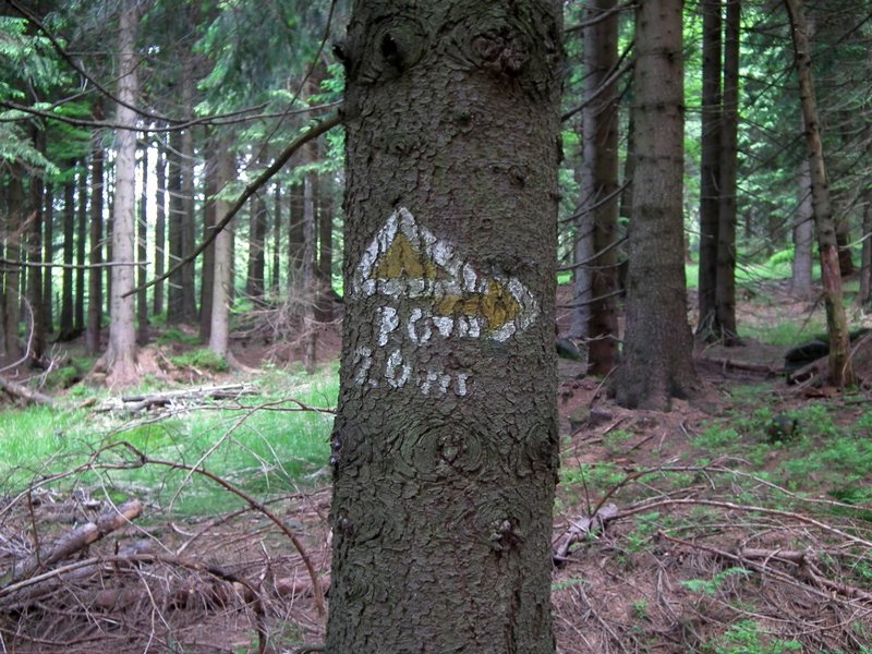 120608b_foto_011.jpg