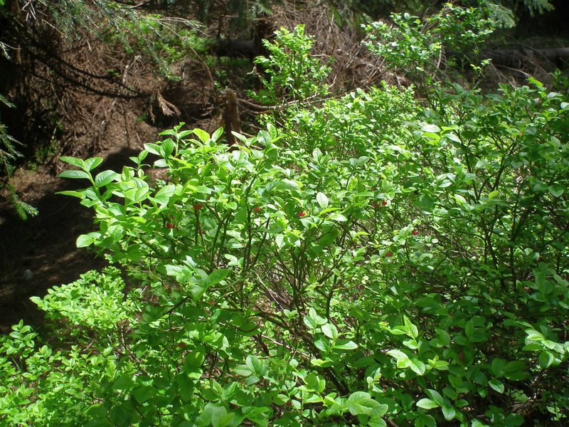 120608b_foto_013.jpg