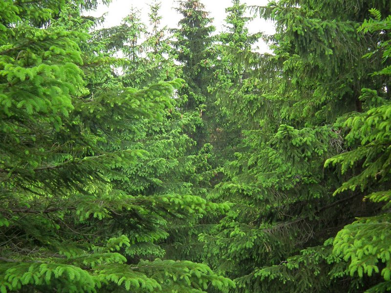 120608b_foto_017.jpg