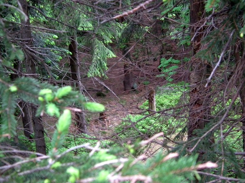 120608b_foto_018.jpg