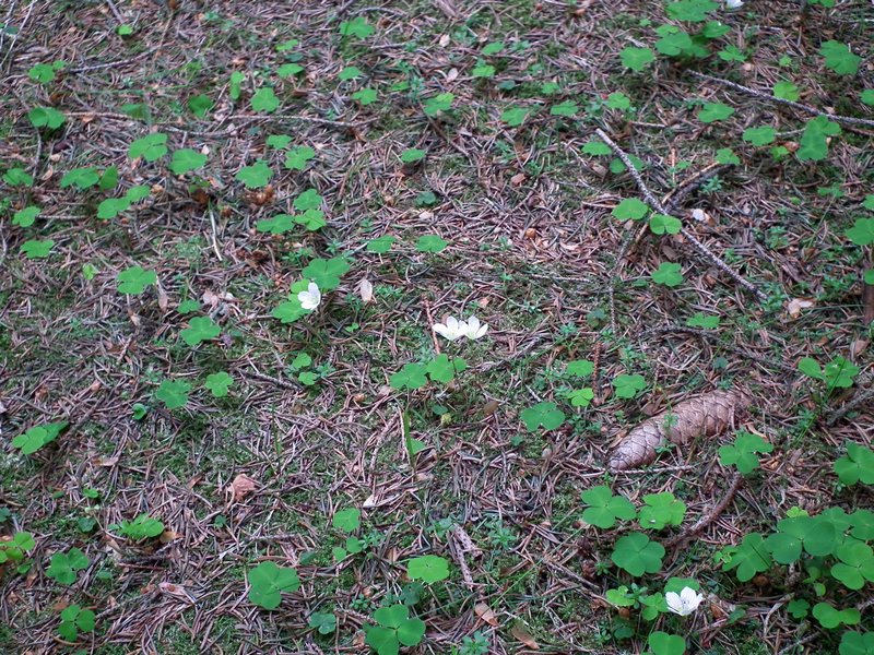 120608b_foto_019.jpg