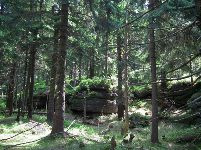 120608b_foto_020.jpg