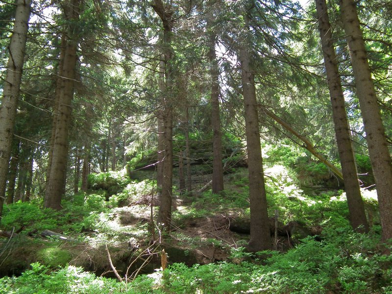 120608b_foto_021.jpg