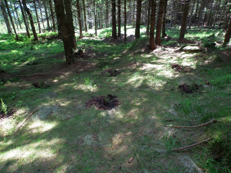 120608b_foto_023.jpg