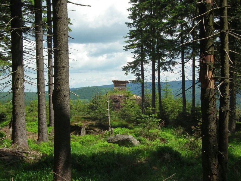120608b_foto_024.jpg