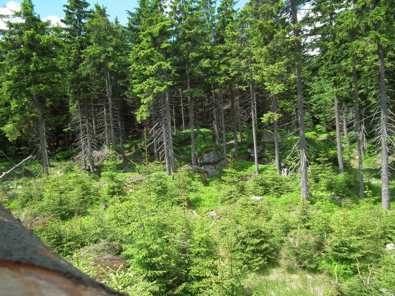 120608b_foto_026.jpg