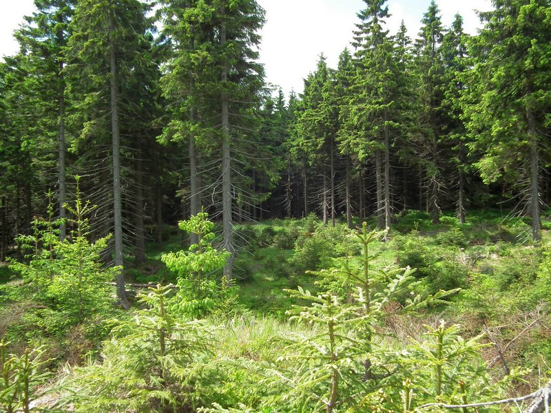 120608b_foto_027.jpg