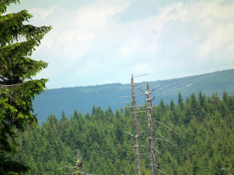 120608b_foto_039.jpg