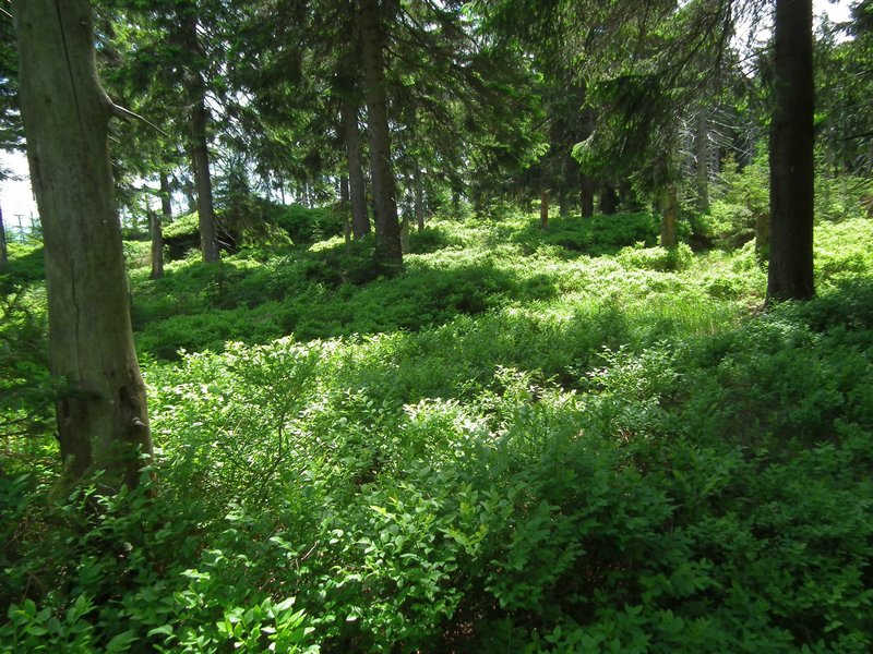 120608b_foto_044.jpg