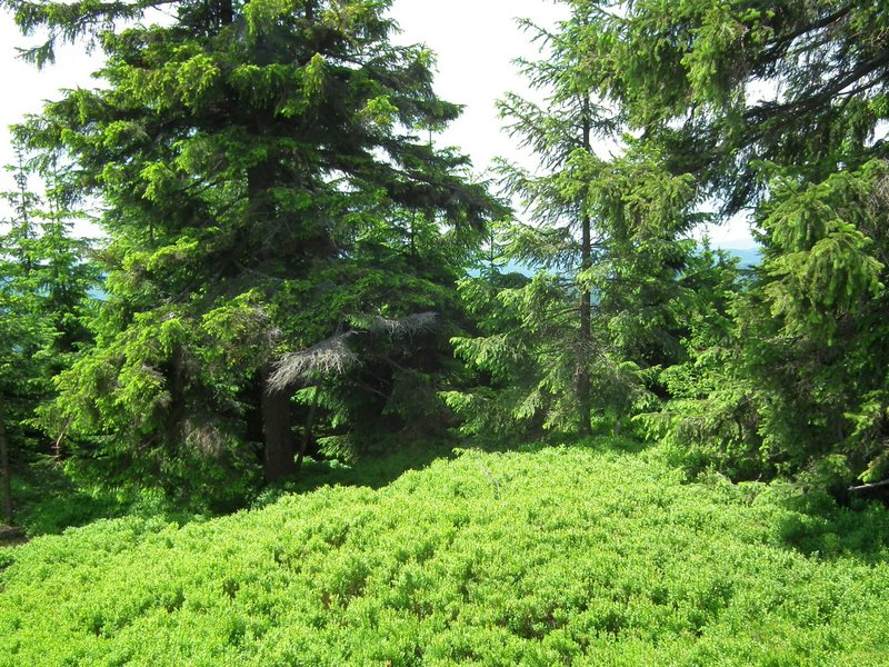 120608b_foto_052.jpg