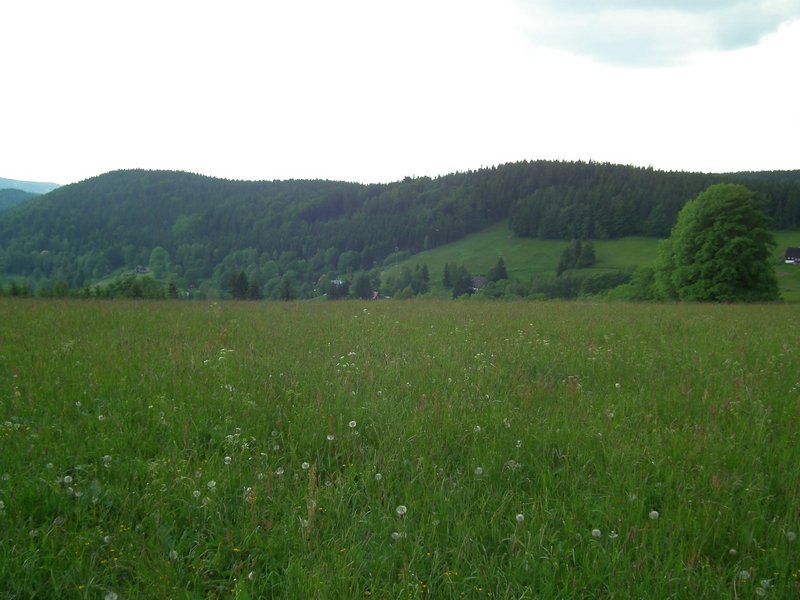 120608b_foto_073.jpg