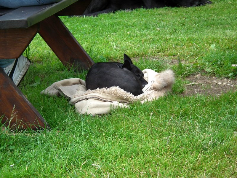 120608b_foto_084.jpg