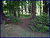 120608b_foto_003.jpg