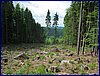 120608b_foto_004.jpg
